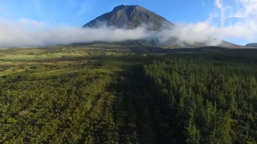 Curso de guias de parques naturais dos Açores