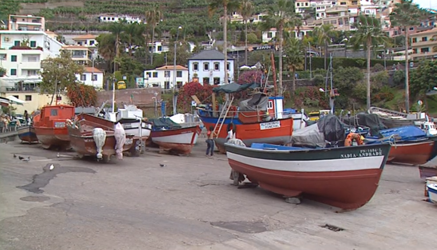 Recorde na pesca do atum na Ilha da Madeira