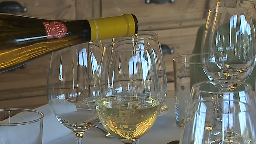 Produção de Vinho Verde