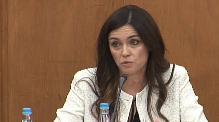 Presidente da ADSE na AR