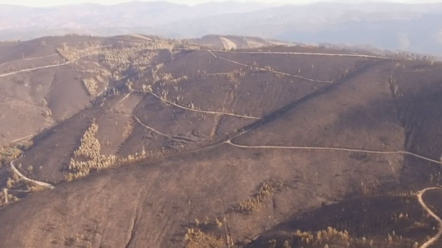 Área ardida vista do ar