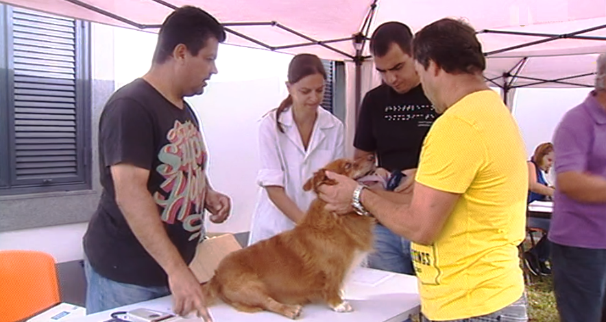 Vacinação e identificação eletrónica de cães