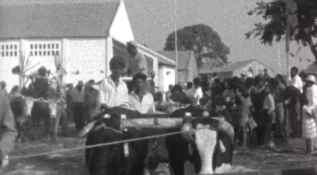 Inauguração da Casa do Povo em Vila Brava