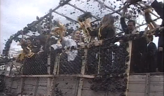 Queima das Fitas em Coimbra