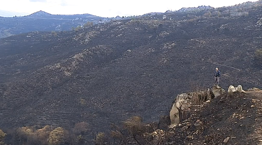 Homem desaparecido em Folgosinho