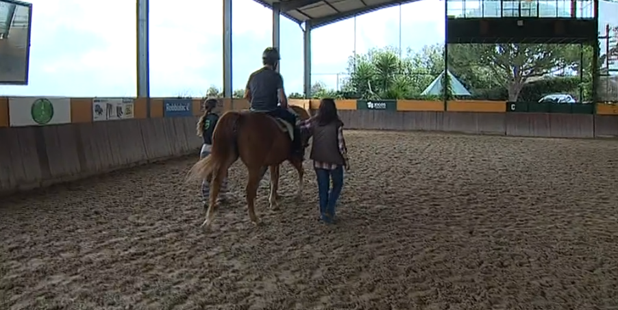Academia Equestre João Cardiga
