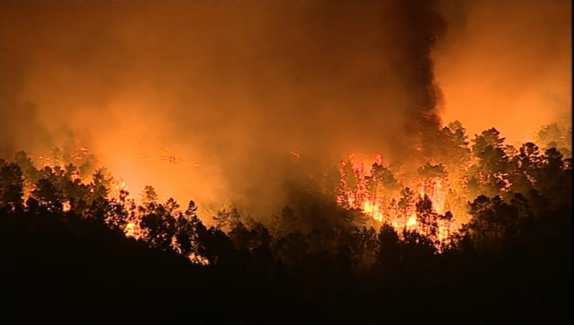 Incêndio florestal em Castelo de Paiva