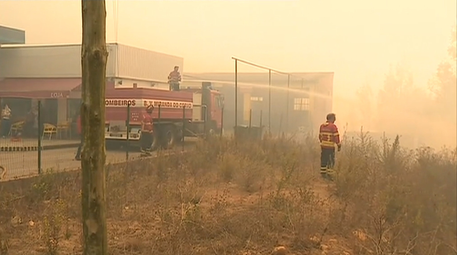 Incêndio florestal no concelho da Lousã