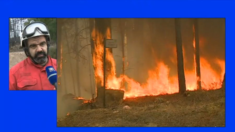 Incêndio florestal em Monção