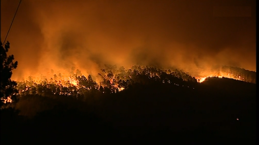 Incêndio florestal no concelho da Sertã