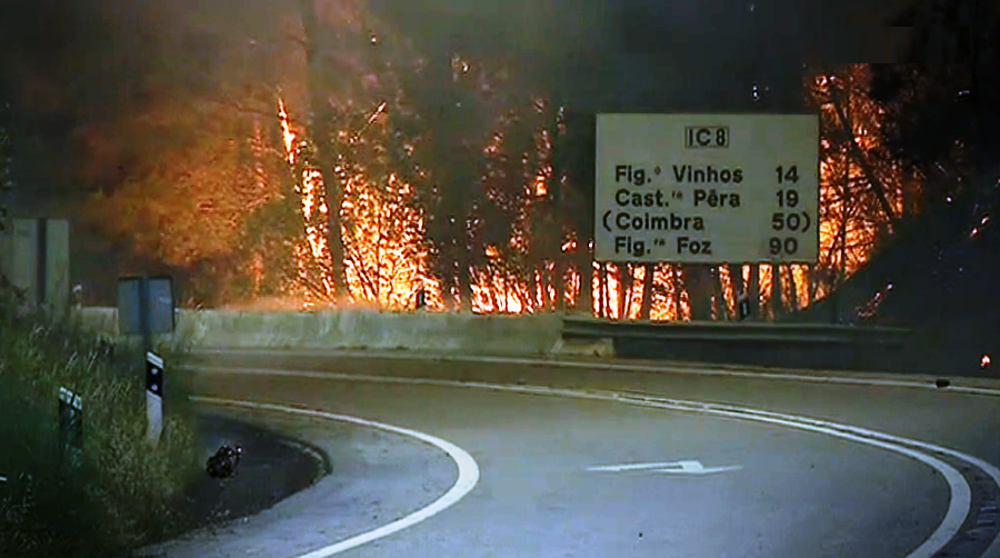 Relatório do incêndio florestal de Pedrógão Grande