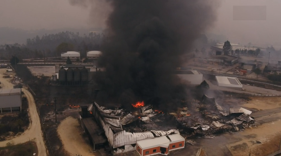 Zona industrial de Viseu destruída pelos fogos