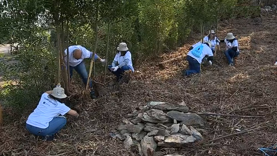 Iniciativa “GIRO” de voluntariado corporativo I