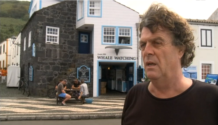 Fim do mergulho com golfinhos no espaço Thalassa