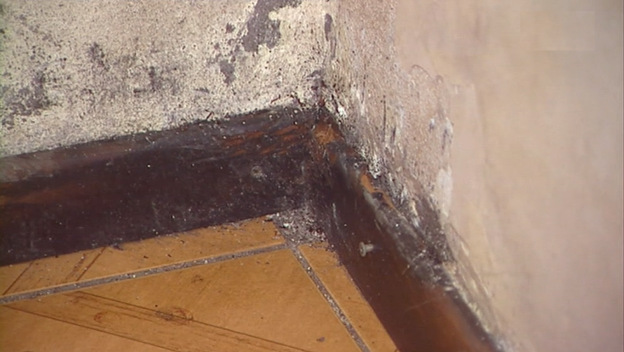 Infiltrações numa casa em São Roque