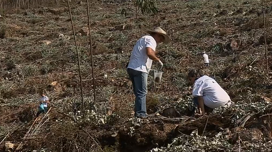 Iniciativa “GIRO” de voluntariado corporativo II