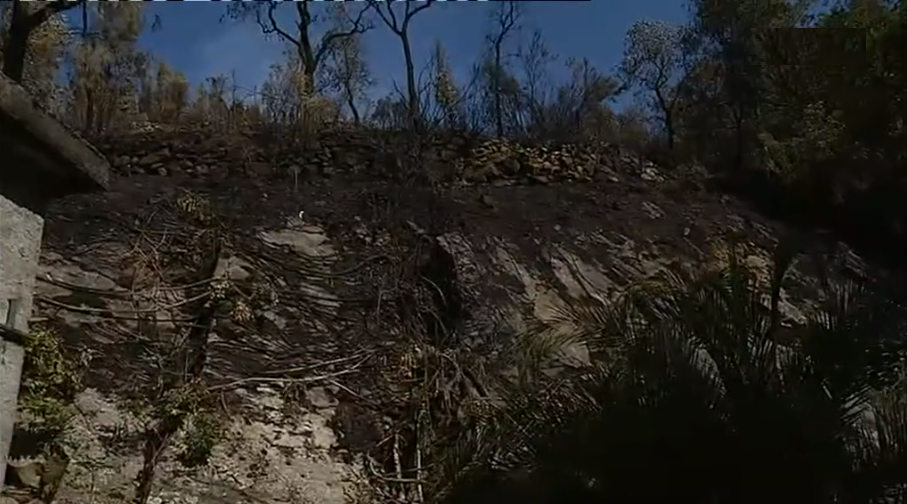 Incêndios florestais em Vouzela e Lousã