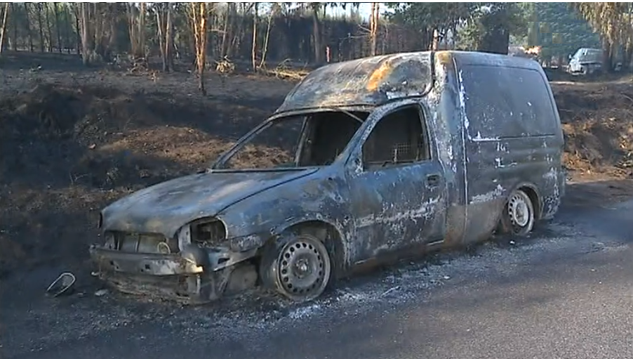Incêndio florestal em Santa Comba Dão