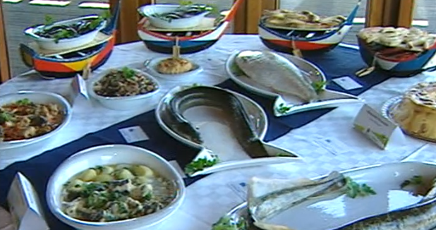 Salvaterra de Magos – Parte II