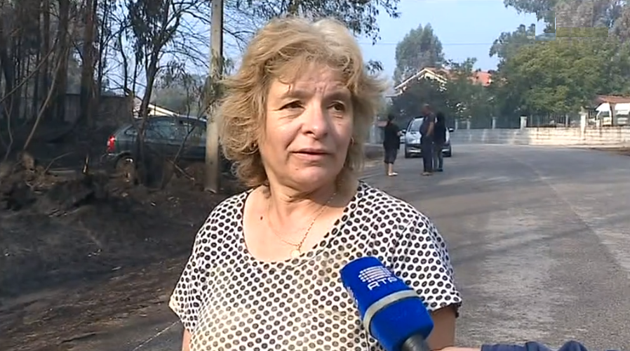 Incêndios florestais em Santa Comba Dão