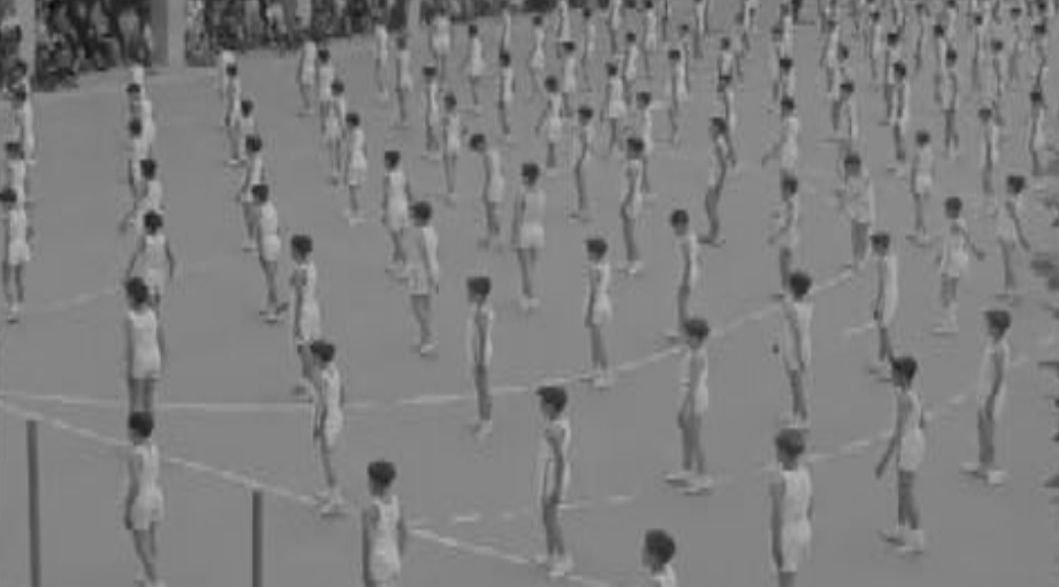 Festival escolar desportivo