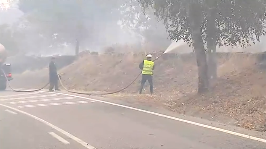 Incêndio florestal em Seia