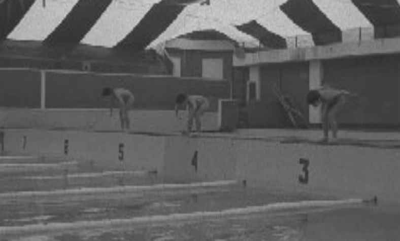 Festival de Dezembro de Natação