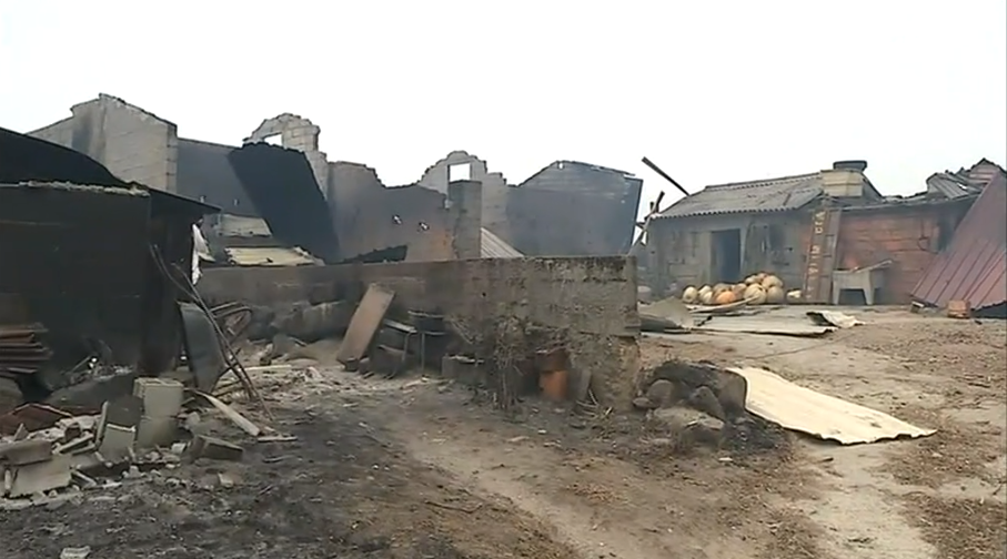 Incêndio florestal em Vouzela