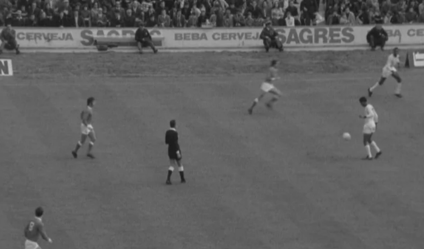 Futebol: Benfica vs Farense