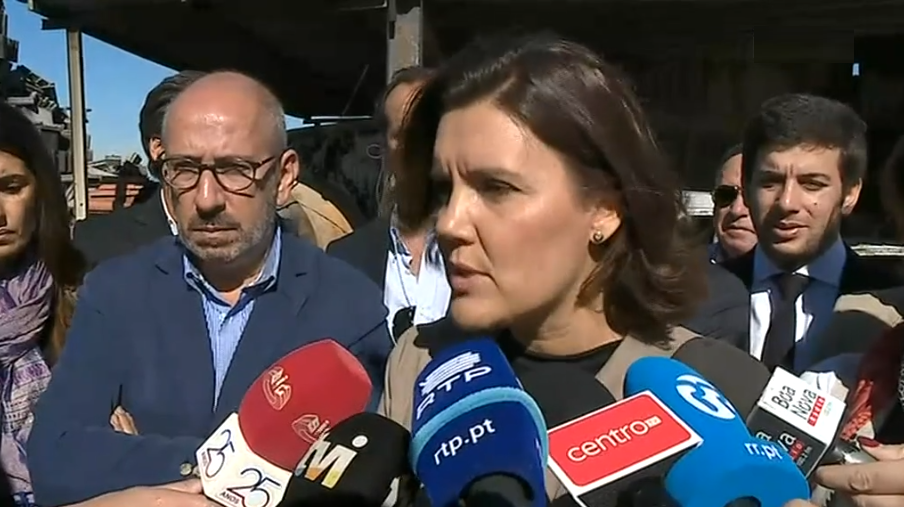 Deputados visitam áreas ardidas em 15 de outubro