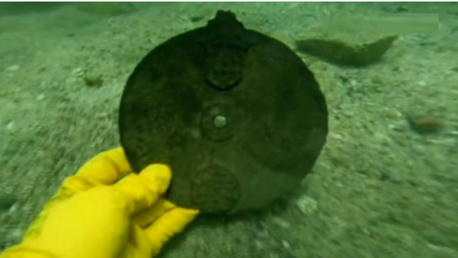 Achado arqueológico português