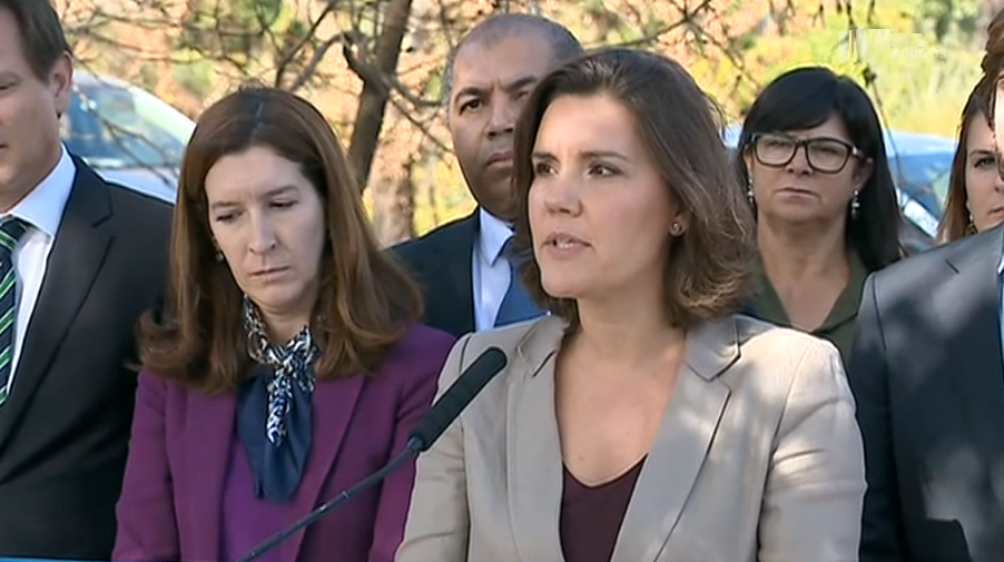 Assunção Cristas visita áreas ardidas