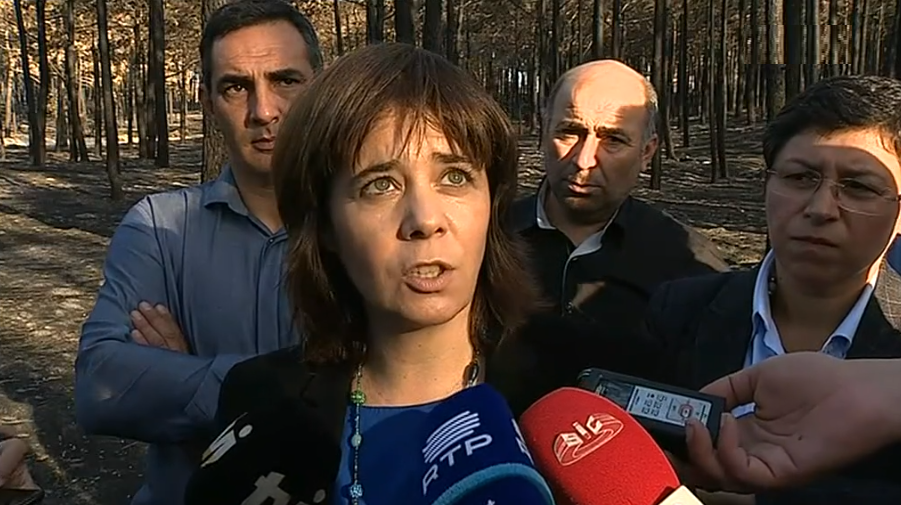 Propostas do BE para o pinhal de Leiria