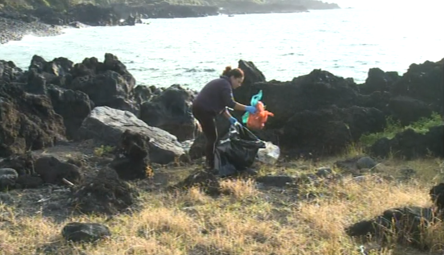 Limpeza da orla costeira na Ilha do Pico