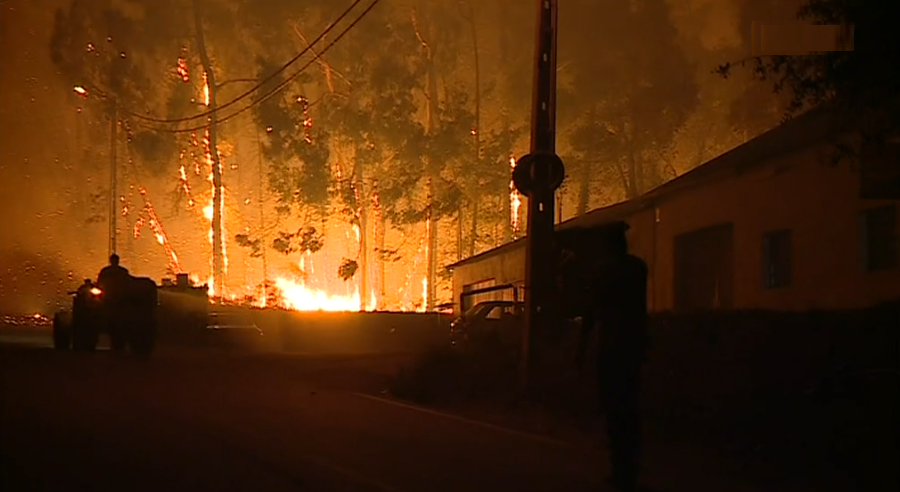 Lista das vítimas dos incêndios florestais