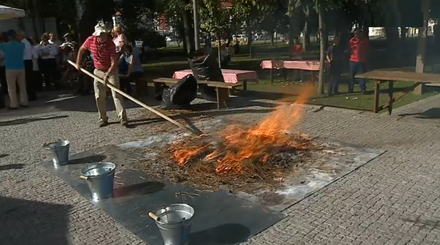 Festival da Castanha em Arouca I