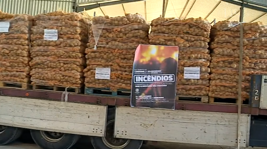 Solidariedade para com vítimas dos incêndios florestais