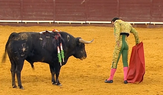 Corrida Mista no Campo Pequeno – Parte IV