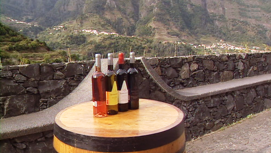 Comercialização de vinhos de mesa na Ilha da Madeira