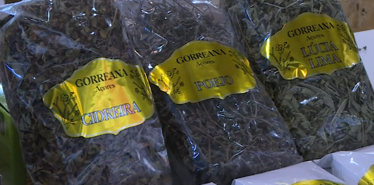 Chá dos Açores no SISAB