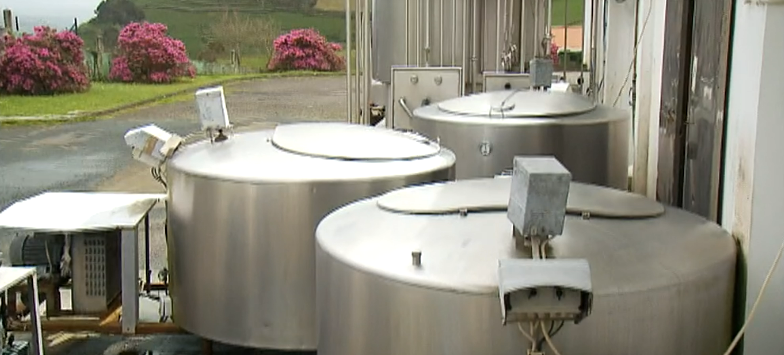 Cooperativa Ocidental nos Açores