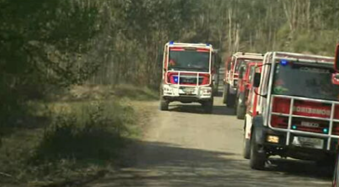 Incêndio em Oliveira de Azeméis