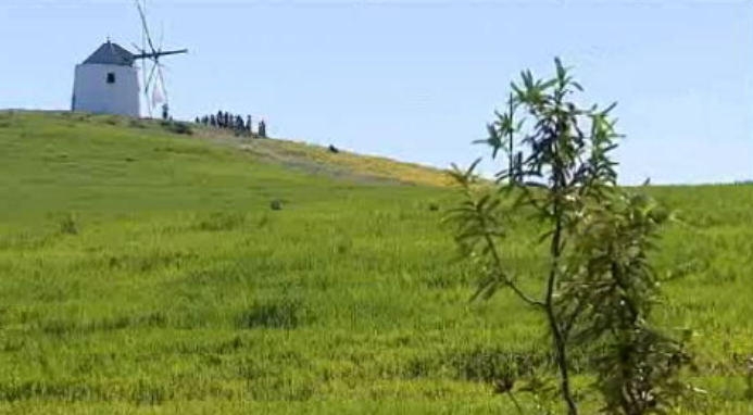 Festival de caminhadas