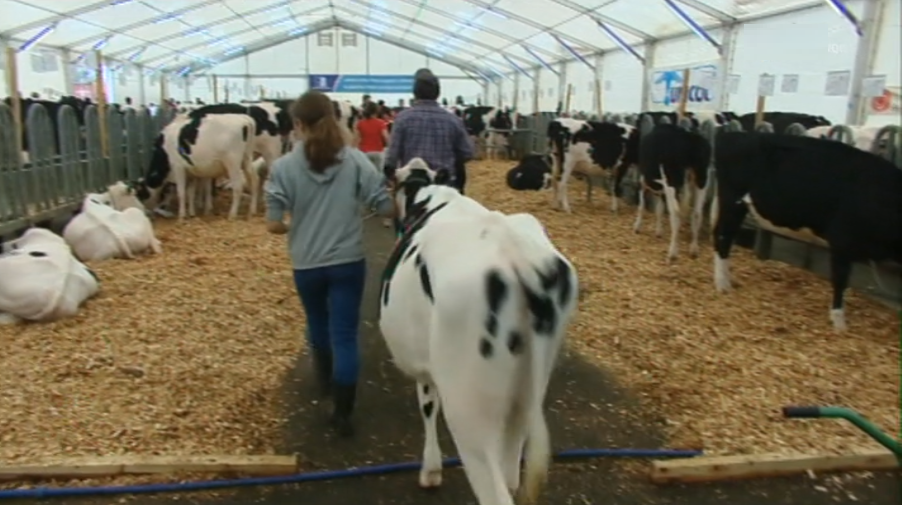Inauguração da Feira Agroter