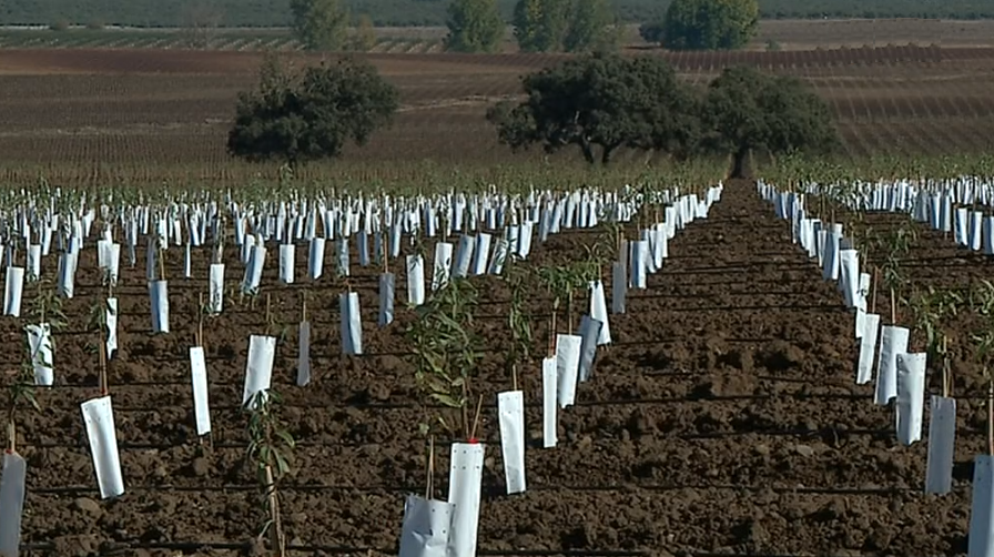 Catarina Martins no Alentejo