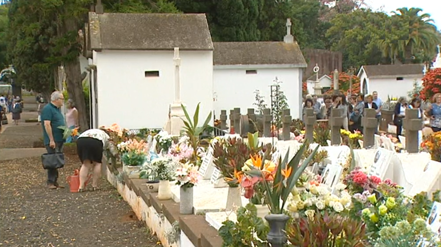 Aumento da venda de flores no Dia de Todos os Santos