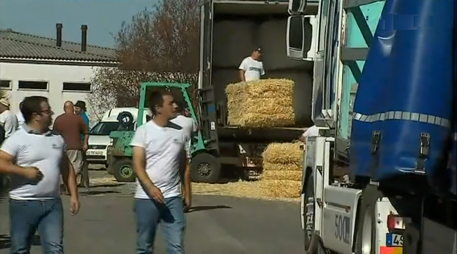 Missão solidária para com vítimas dos incêndios florestais