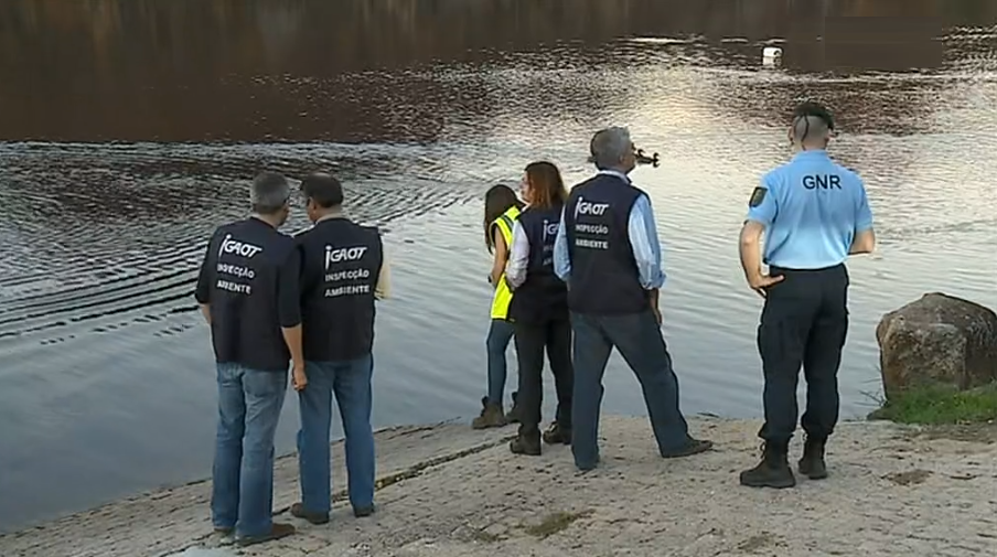 Mortandade de peixes no Rio Tejo
