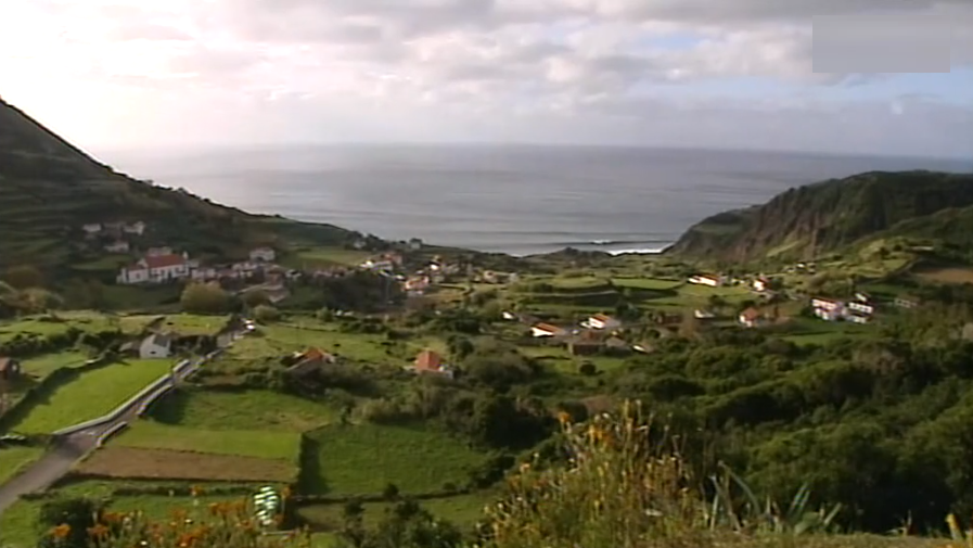 Monitorização da Fajãnzinha nas Flores