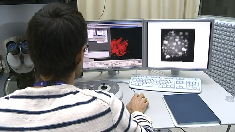 Braga, Cidade criativa “Media Arts”